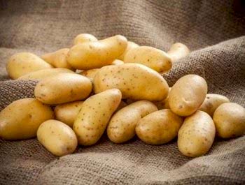 Patates