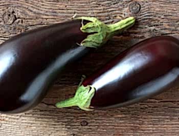 Patlıcan