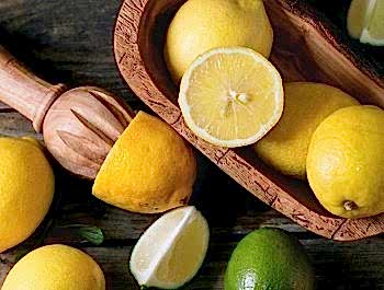 Limon Mayer