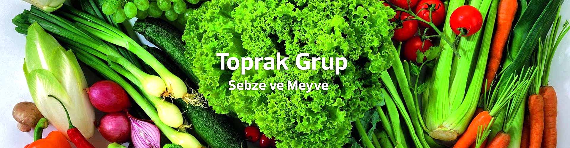 Meyve Sebze